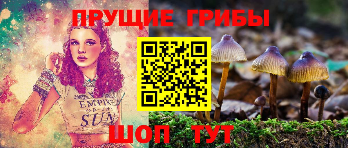 Хабаровск  Галлюциногенные грибы мицелий  Вход с VPN 
