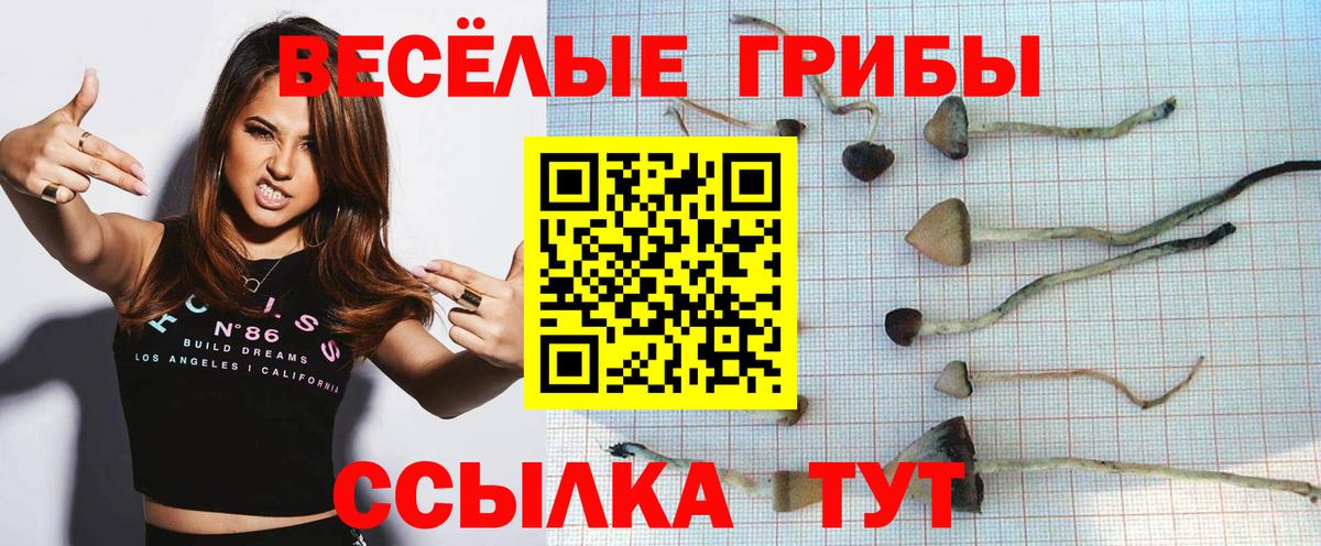 Псилоцибиновые грибы Cubensis Хабаровск